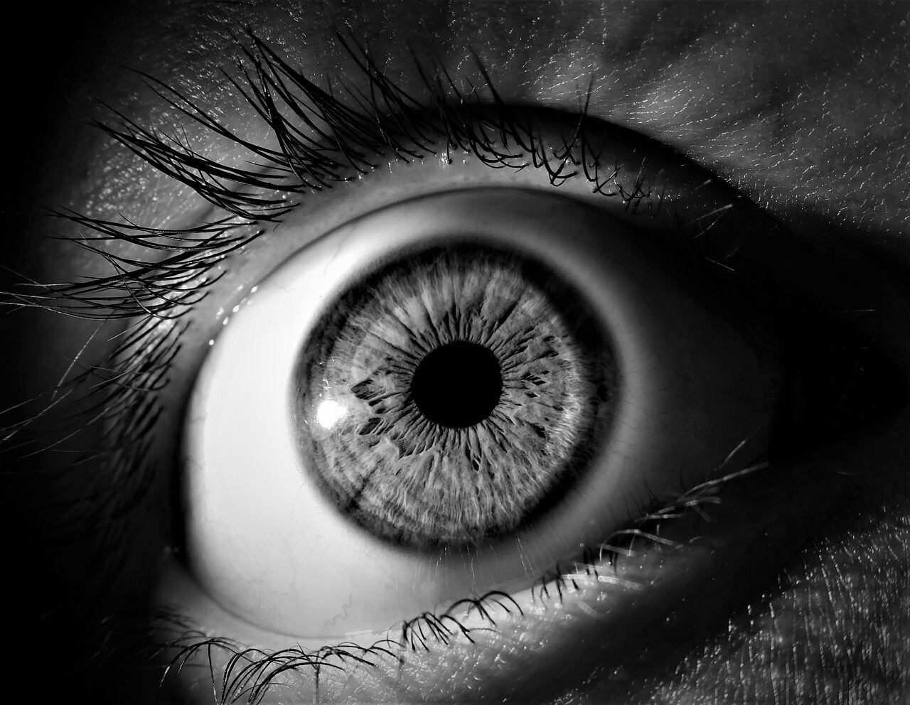 Los pacientes con miastenia gravis presentan en la mayoría de los casos, debilidad en los músculos de los ojos y los párpados. Foto/Pixabay