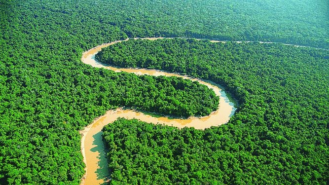 Conservación de la Amazonia es vital para el mundo.