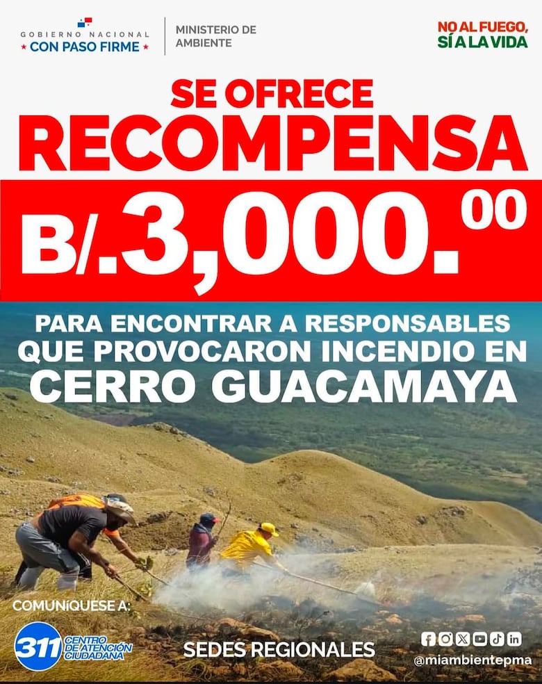 Ofrecen recompensa de $3,000 por información sobre el incendio en cerro Guacamaya