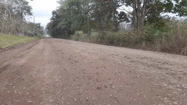 $822 millones pagaría el Estado durante la concesión de 246 kilómetros entre Las Garzas y Yaviza