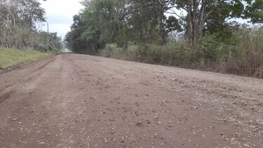 $822 millones pagaría el Estado durante la concesión de 246 kilómetros entre Las Garzas y Yaviza