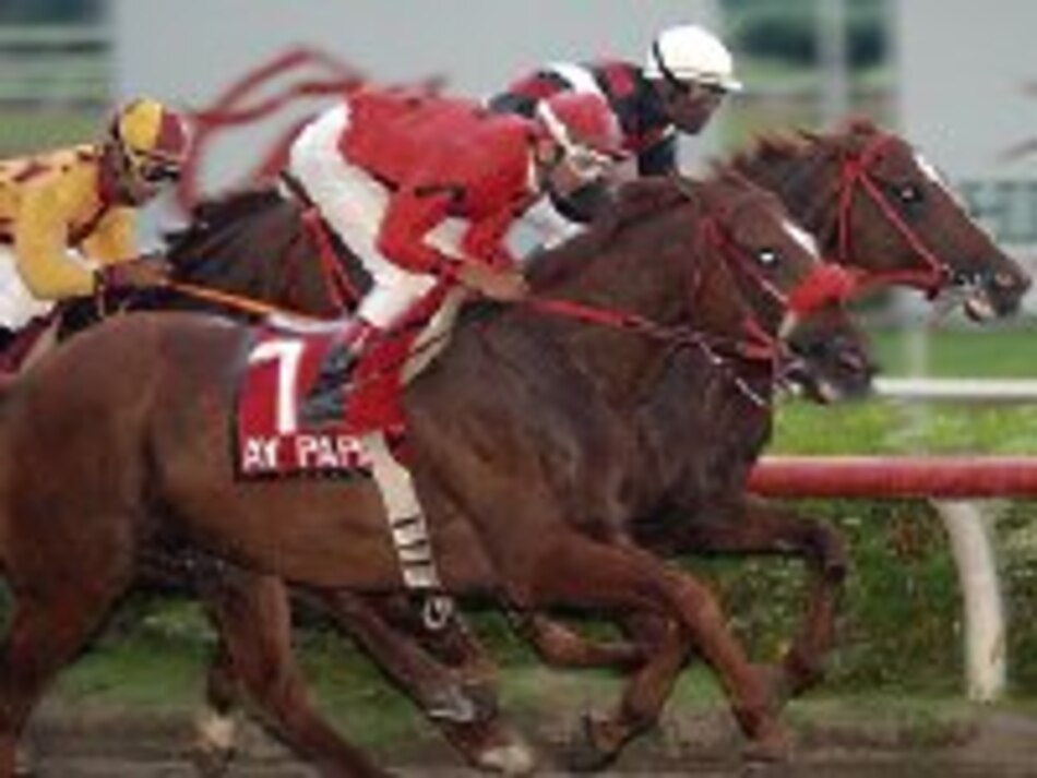 ‘England Charlie’ y ‘Drago’ van a otro duelo