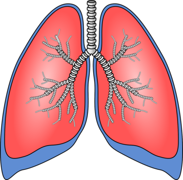 Una historia de supervivencia y esperanza en la batalla contra la hipertensión pulmonar