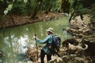 Contaminación en afluente del Chagres