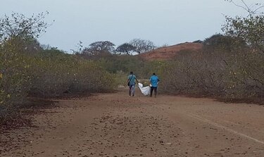 Fiscal: Osamenta hallada en la playa La Colorada es de un hombre