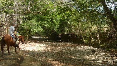 El agua se agota y la ganadería sufre