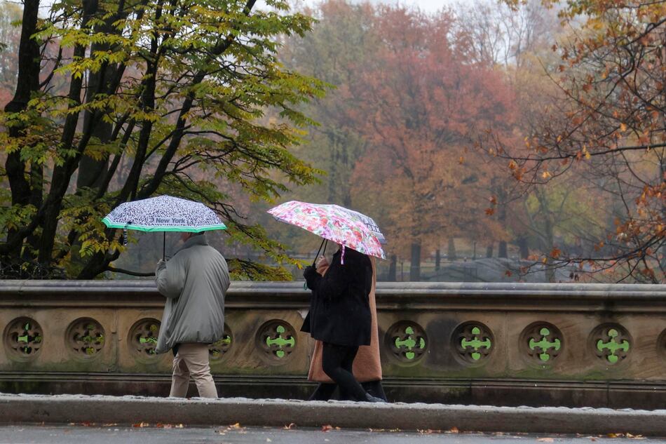 Nueva York aboga por más árboles y mejor alcantarillado para combatir inundaciones