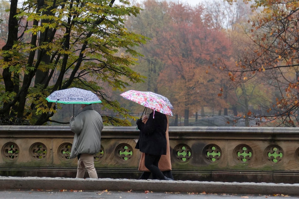 Nueva York aboga por más árboles y mejor alcantarillado para combatir inundaciones