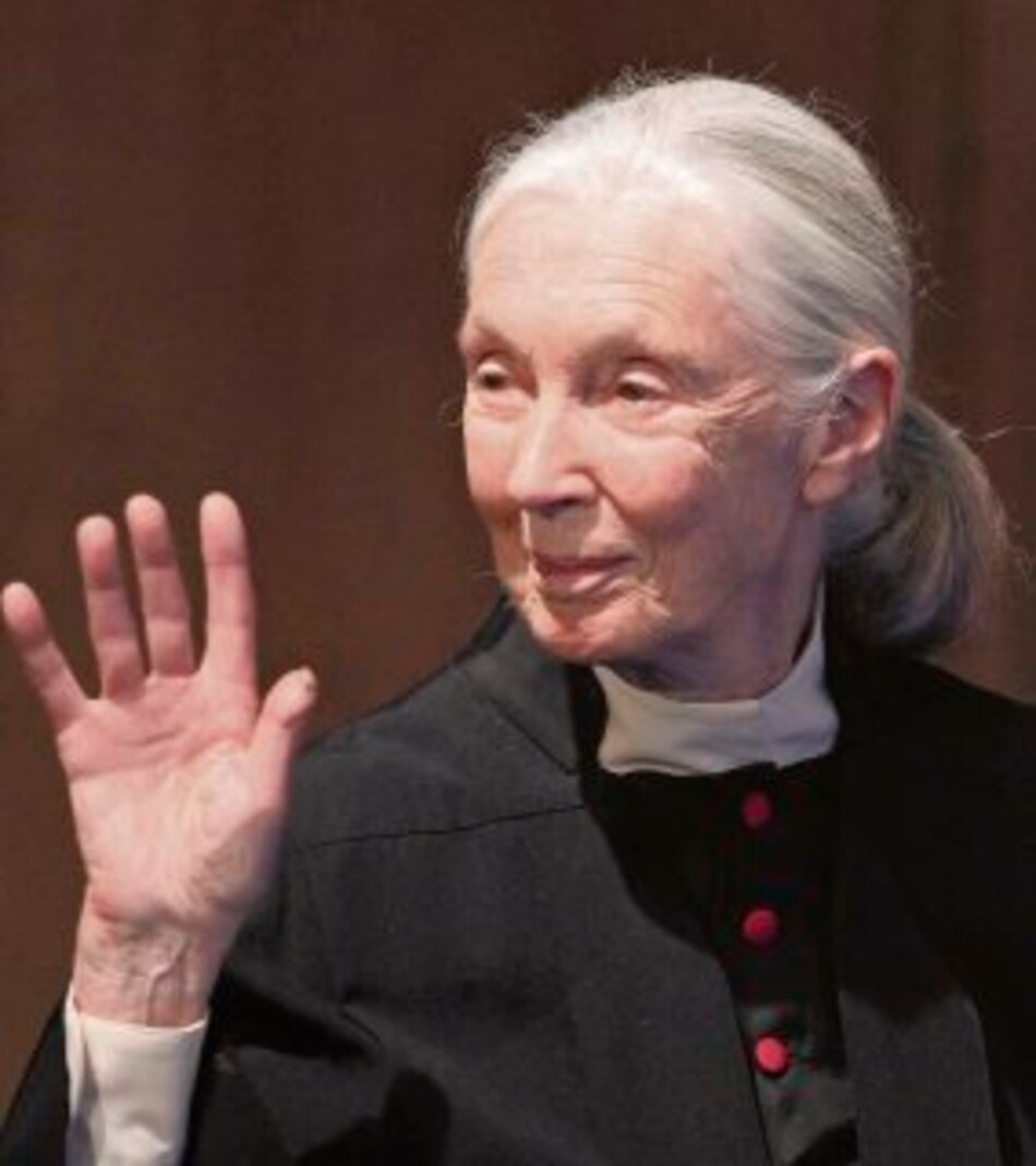 Cohesión con la Tierra