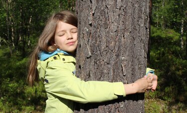 El gran poder de abrazar un árbol