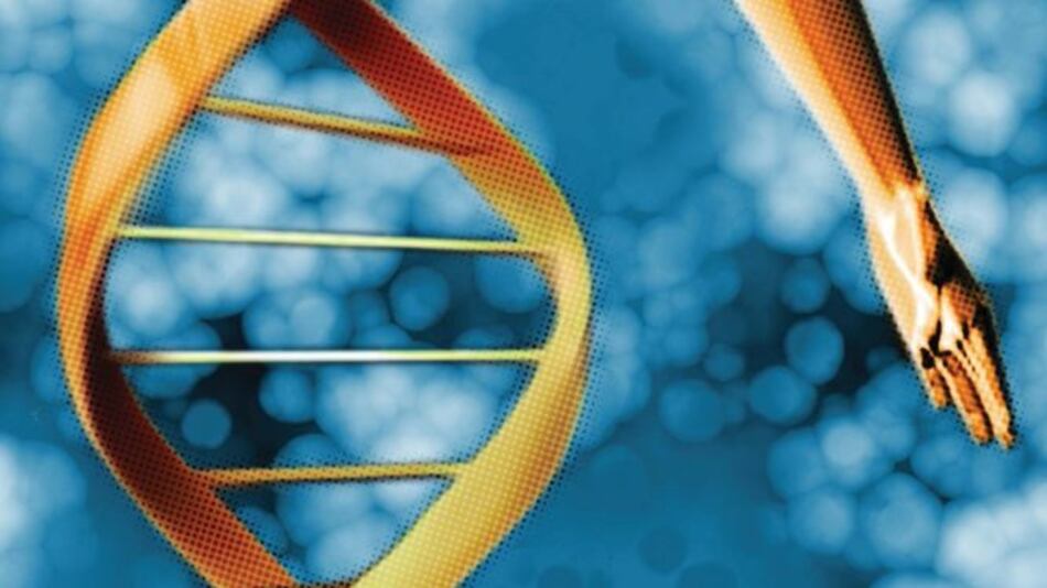 Rechazan estudio de modificación de genes