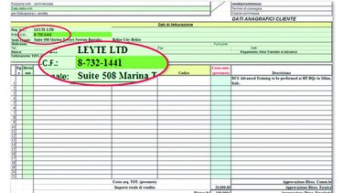 Compra camuflada para el espionaje