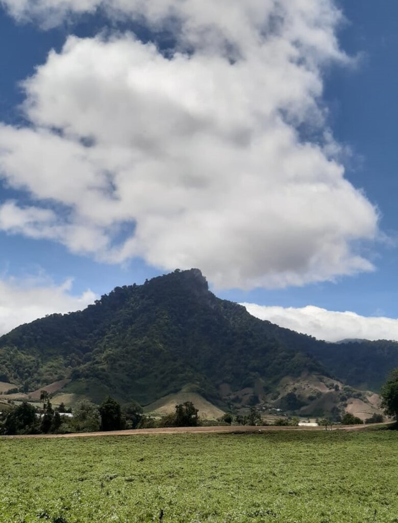 Controlan fuego en Cerro Punta