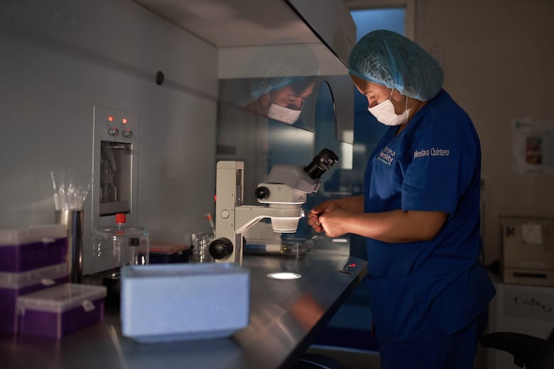 Panama Fertility convierte al país en el destino predilecto de ‘Latam’ para la reproducción asistida