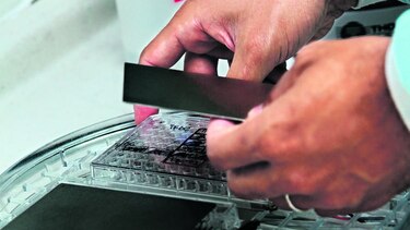 Tratar la malaria con energía y no con drogas, una meta ambiciosa