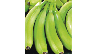 Panamá exportó 7,679 contenedores de bananos en los primeros cinco meses