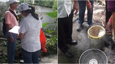 Ministerio de Salud: se han confirmado mil 36 casos de dengue en el país