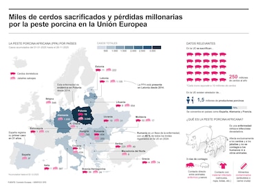 Peste porcina: Argentina y Reino Unido flexibilizan la entrada de algunos productos españoles del cerdo