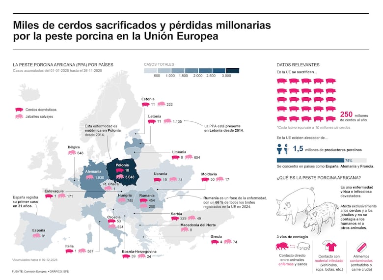 Peste porcina: Argentina y Reino Unido flexibilizan la entrada de algunos productos españoles del cerdo