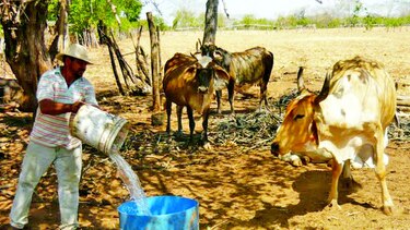 El 70% de los pozos perforados está sin agua
