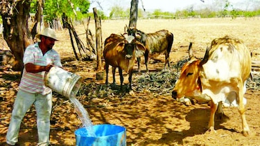 El 70% de los pozos perforados está sin agua