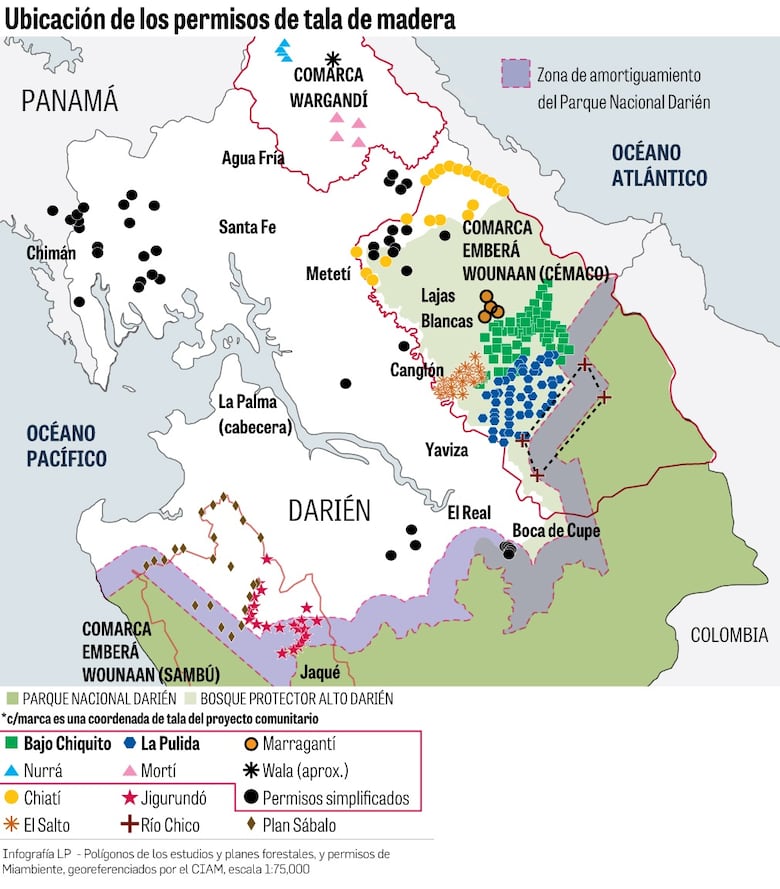 Tala se toma área protegida en Darién