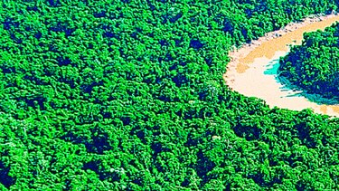 Proyecto amenaza cuenca del Amazonas