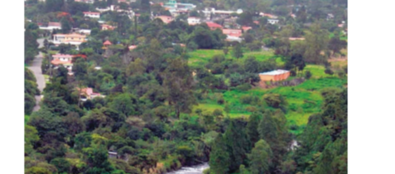 Geisha se acerca a la perfección