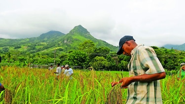 Producen mapa de zonas agrícolas