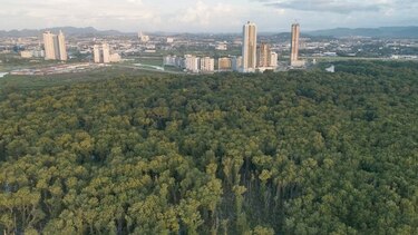 Una condena por afectar la bahía de Panamá