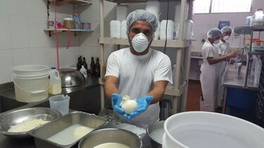 El maestro de los quesos