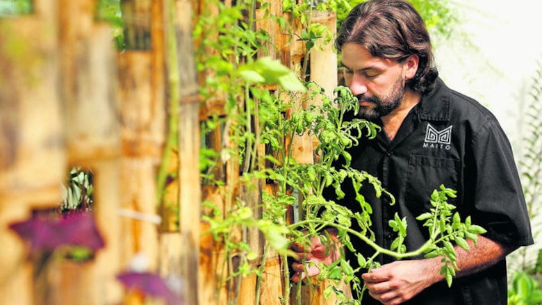 Chefs revolucionan la cocina panameña