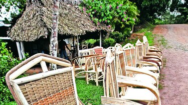 Arte, muebles y mimbre