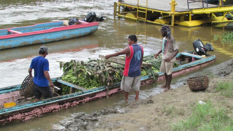 Atropello y fuga en Darién durante carnaval
