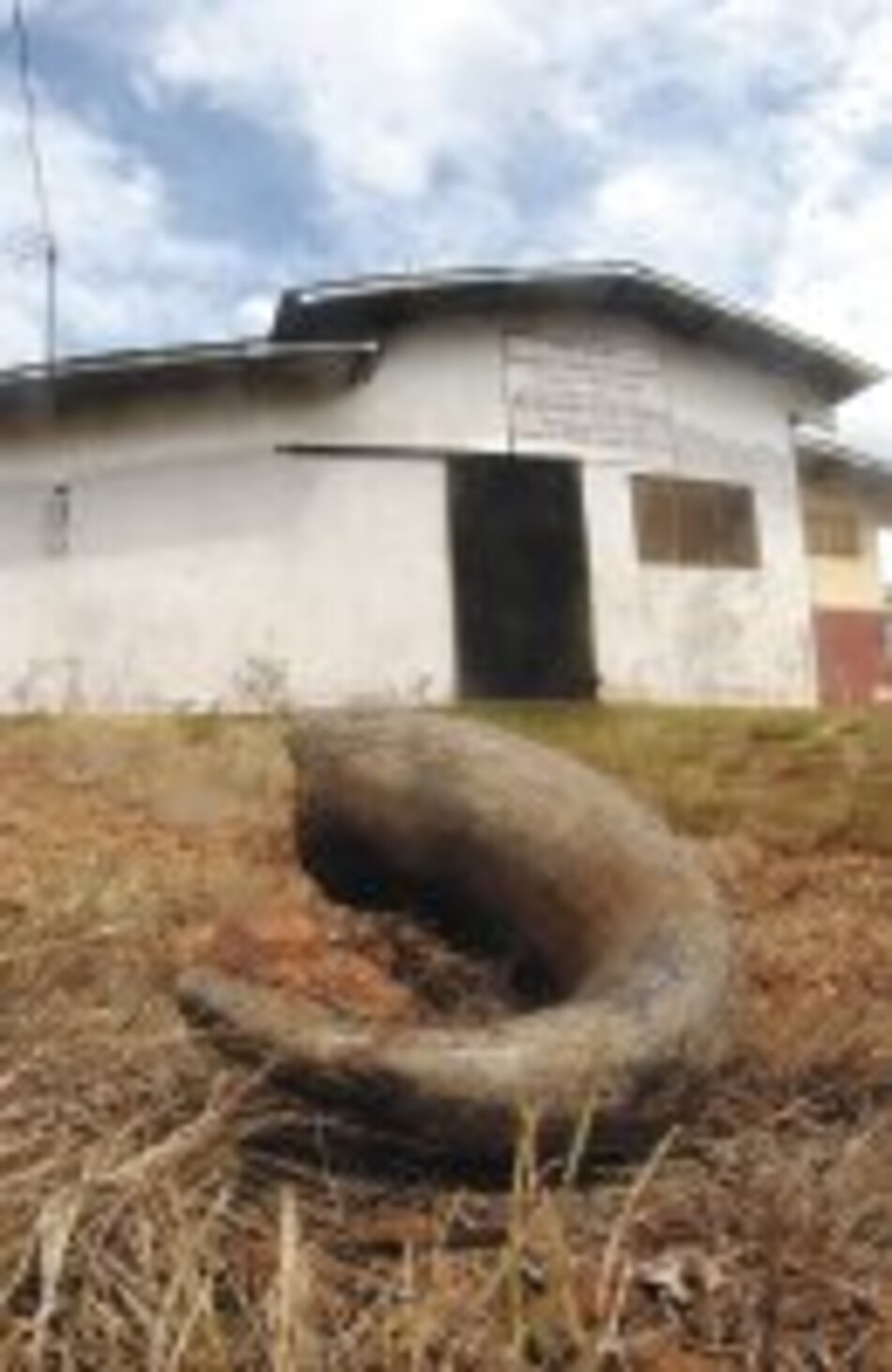 LA MATANZA DE LAS VACAS De ‘terminator’ al martillazo en la cabeza