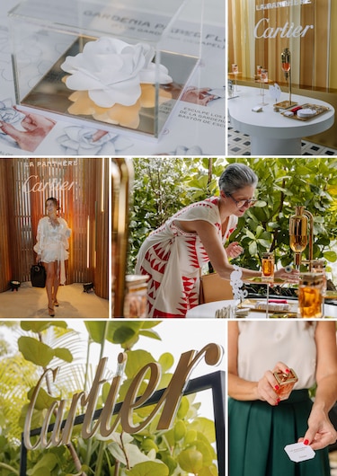 Panthère: Lujo Instintivo