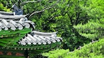 El jardín oculto de la realeza