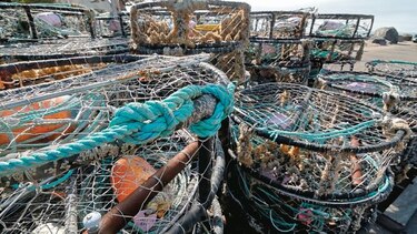 Pesca artesanal de centolla persiste en el ‘fin del mundo’