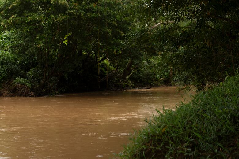 ¿Cuánto cuesta un palo de mango? El relato de un pueblo que se niega a desaparecer