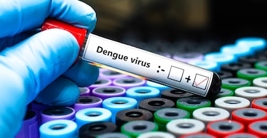 El dengue multiplicado: Panamá, entre los ocho países con los cuatro serotipos