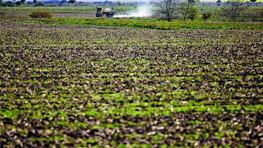 Economía de Argentina creció 2.7% en trimestre
