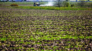 Economía de Argentina creció 2.7% en trimestre