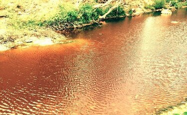 Informan a las autoridades que aguas del río Guararé están contaminadas