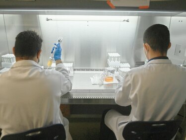 Indicasat: un productor local de medios de transporte viral