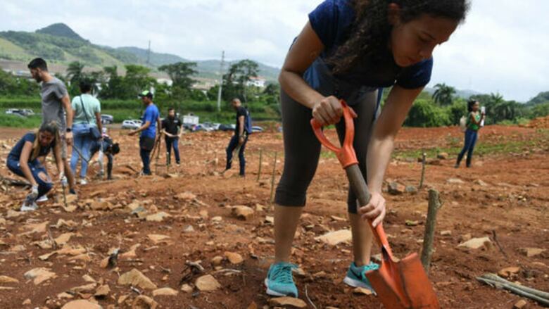 Ministros de Obras Públicas y Ambiente participan en siembra de árboles en la vía Omar Torrijos