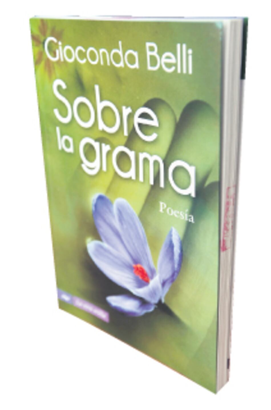 Versos tiernos de mujer luchadora