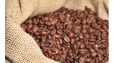 Auge en producción de café consuela a productores