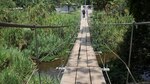 Hurtan láminas antideslizantes de un puente colgante en Pacora