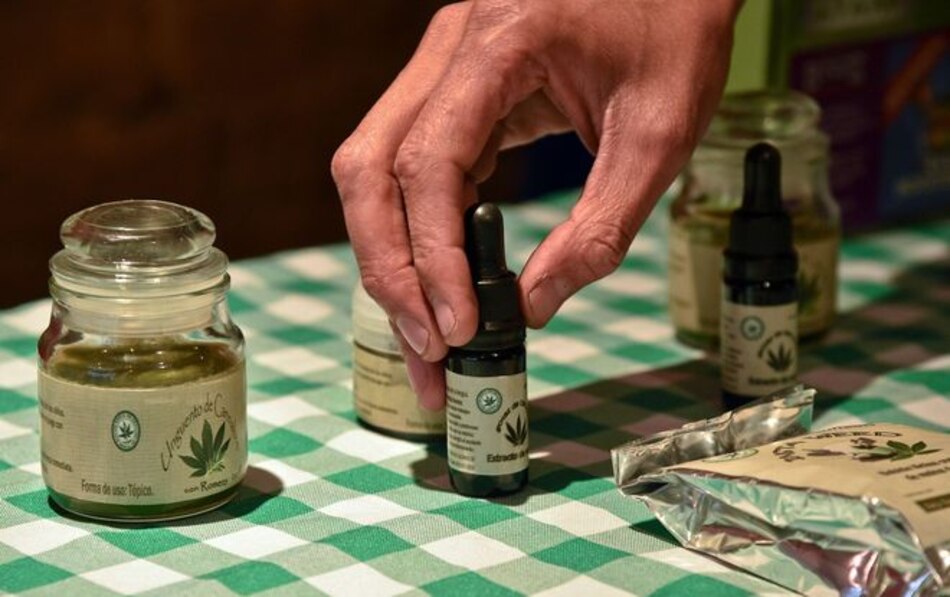 ¿Puede el cannabis medicinal curar a la economía panameña?