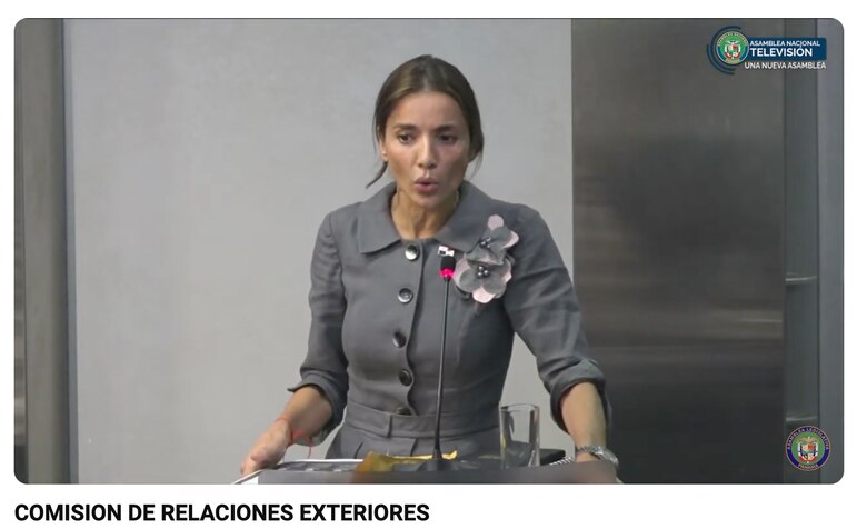 El tenso roce entre la embajadora ante la OEA y un diputado del PRD